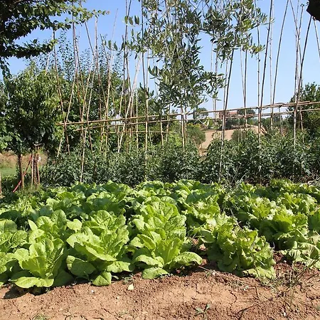 Cluana Azienda Agrituristica Sant'Elpidio a Mare